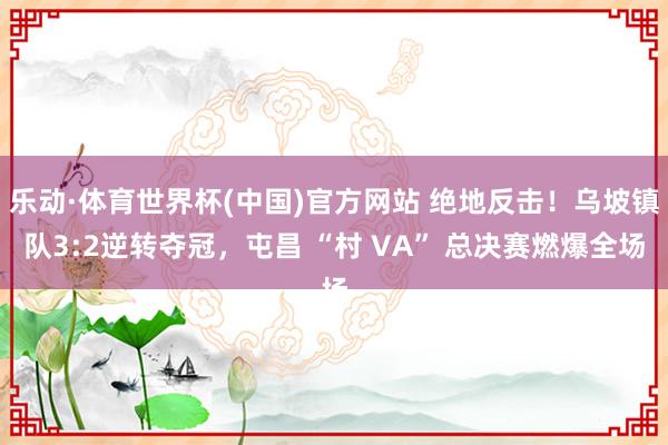 乐动·体育世界杯(中国)官方网站 绝地反击！乌坡镇队3:2逆转夺冠，屯昌 “村 VA” 总决赛燃爆全场