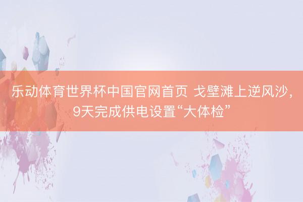 乐动体育世界杯中国官网首页 戈壁滩上逆风沙，9天完成供电设置“大体检”