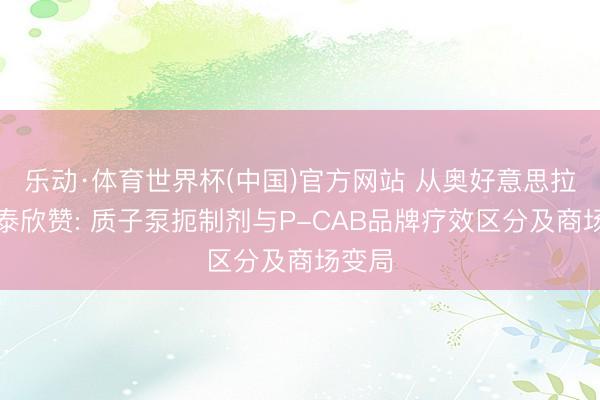 乐动·体育世界杯(中国)官方网站 从奥好意思拉唑到泰欣赞: 质子泵扼制剂与P-CAB品牌疗效区分及商场变局