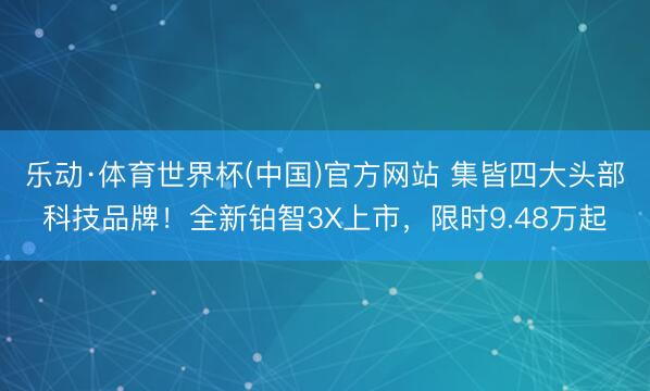 乐动·体育世界杯(中国)官方网站 集皆四大头部科技品牌！全新铂智3X上市，限时9.48万起